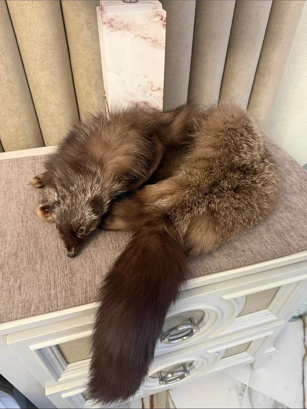 Vintage Fox for stole